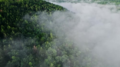 Aerial Drone View Above Green Mountain Forest