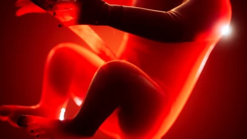 3D Animation of Fetus Developing in Womb