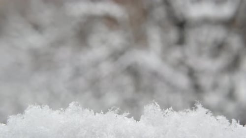 Weiße Schneeflocken fallen im Winter Schneeflocken des winterlichen Weihnachtsschneefalls