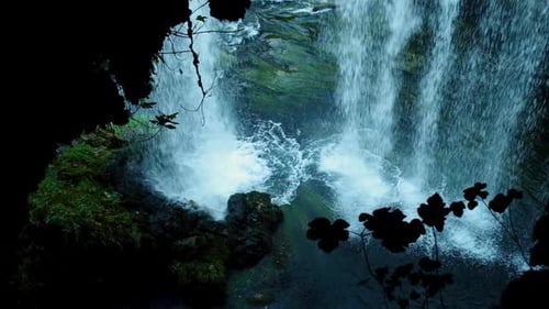 Waterfall with a River in the Forest