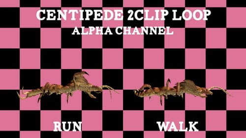 Lazo de clip Centipede 2