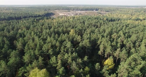 Mise en décharge de déchets dans une zone boisée derrière des arbres