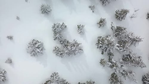 Im Winter über dem Wald