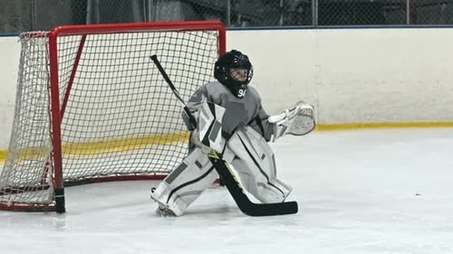 Beginner Goaltender
