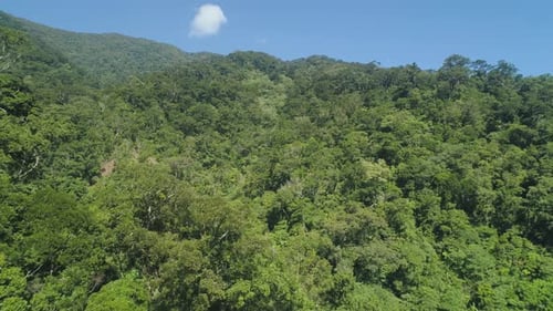 View of Mountain Landscape with Rainforest