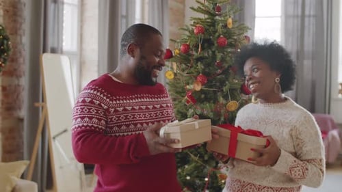 Happy Couple Exchanging Gifts by Christmas Tree