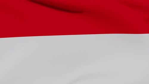 Seamless Loop Waving Red and White Horizontal Flag Animation
