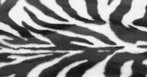 Zebra Print Fabric Pattern Close Up