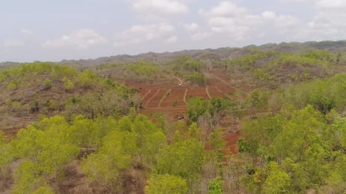 Agricultural Landscape in Asia