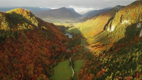 Autumn Forest