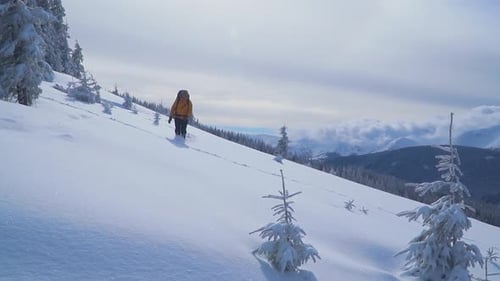 Lone Hiker Walks Through Snowy Mountain Landscape
