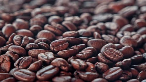 Aromatic Coffee Beans
