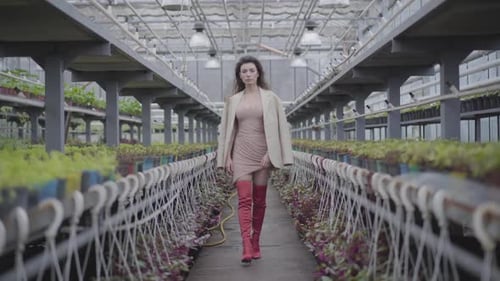 Gorgeous Caucasian Brunette Woman in Red Thigh High Boots Walking Along Row of Plants in Greenhouse