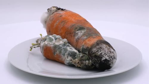 Moldy Carrots Showing Signs of Spoilage on Plate