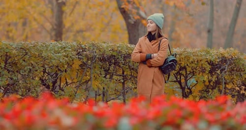 Beautiful Young Brunette Girl in Autumn Park in the Morning
