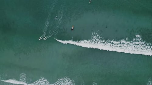 Aerial View of Surfers Riding the Waves