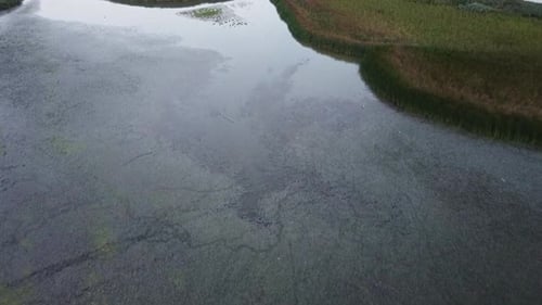 Wild Lake and Vegetation Aerial View