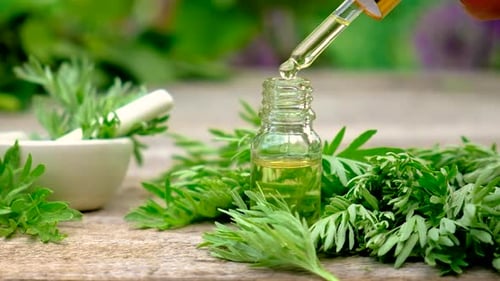 Herbal Essence Extract Dropped into Glass Bottle