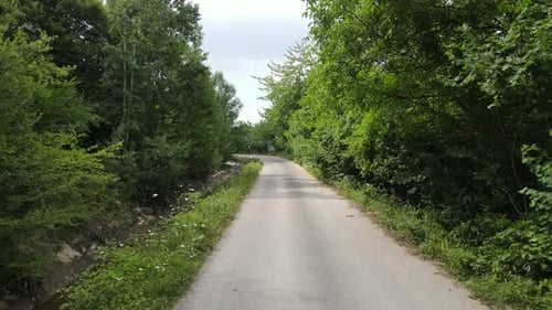 Forest Road