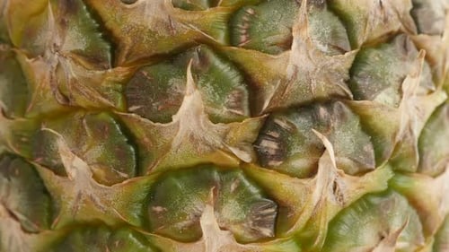 Tropical pineapple fruit texture close-up 4K 2160p 30fps UltraHD tilting footage - Ananas comosus d