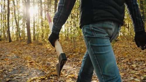 A Man Walks in the Autumn Woods with an Ax in Hand