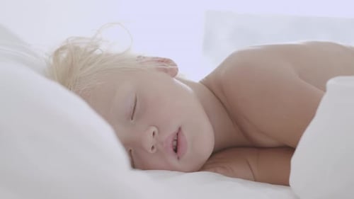 Peaceful Child Sleeping Soundly in Bed