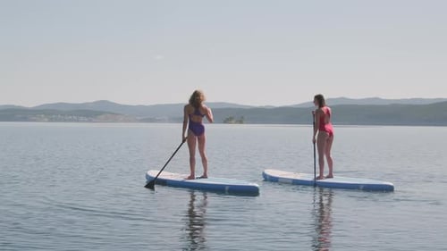 Exploring Lake Area on Sup Boards