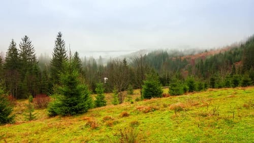 Ukraine Carpathians