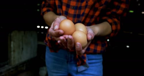 Mujer con huevos marrones en el bolígrafo 4k
