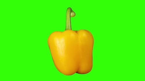 A Yellow Bell Pepper Rotating Against Green Screen