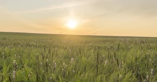 Hill Meadow Timelapse at the Summer or Autumn Time