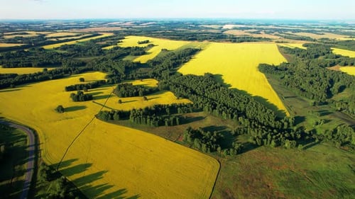 Asphalt Highway Road Among the Summer Field Under Blue Cloudy Sky