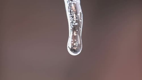 Melting Icicle