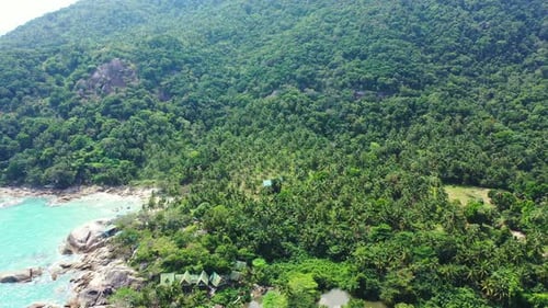 Beautiful hills with green trees forest and palm trees on shore of tropical island with peaceful exo