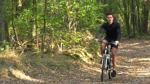 A Cyclist Rides Down a Path Through a Forest - Front View