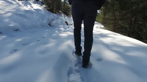Man Walks Snowy Path in Winter Landscape