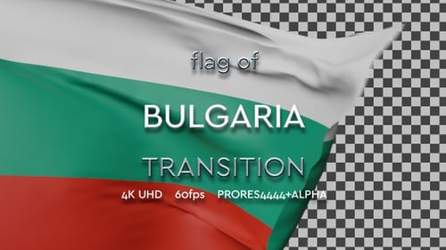 Realistic Waving Flag Transition Reveal