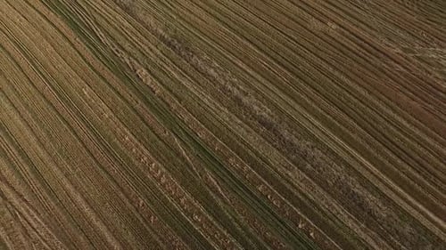 Aerial View Of Autumn Agricultural Field