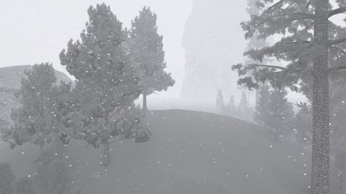 Snowfall in the Forest