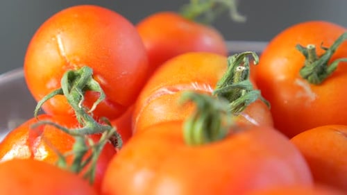 Bowl of Fresh Cherry Tomatoes Still on Vine