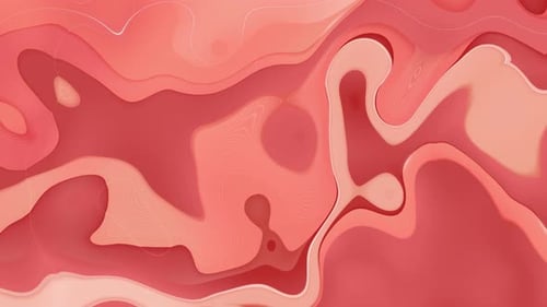 Pink Abstract Fluid Organic Morphing Shapes Motion Background