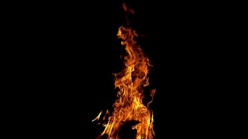 Bonfire Burning at Night