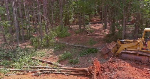 Trees Were Removed From a Subdivision for a Housing Development
