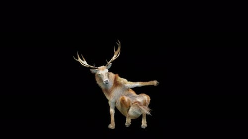 Funny Dancing Deer Animation with Alpha Channel