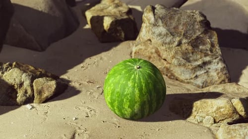 Fresh Watermelon on a Beautiful Sand Beach
