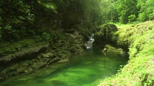 River in the Jungle