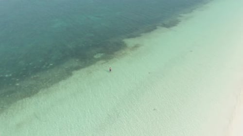 Aerial: woman walking in turquoise water white sand tropical beach coral reef Pa
