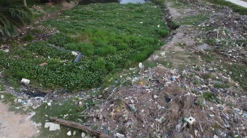 Dump of rubbish at the river bank