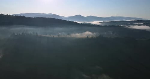 Misty Morning in the Green Rolling Hills