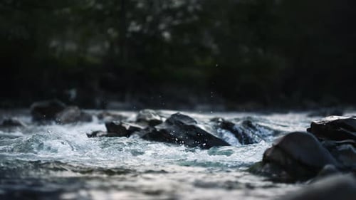 Wild Mountain River Flowing Through Stone Boulders